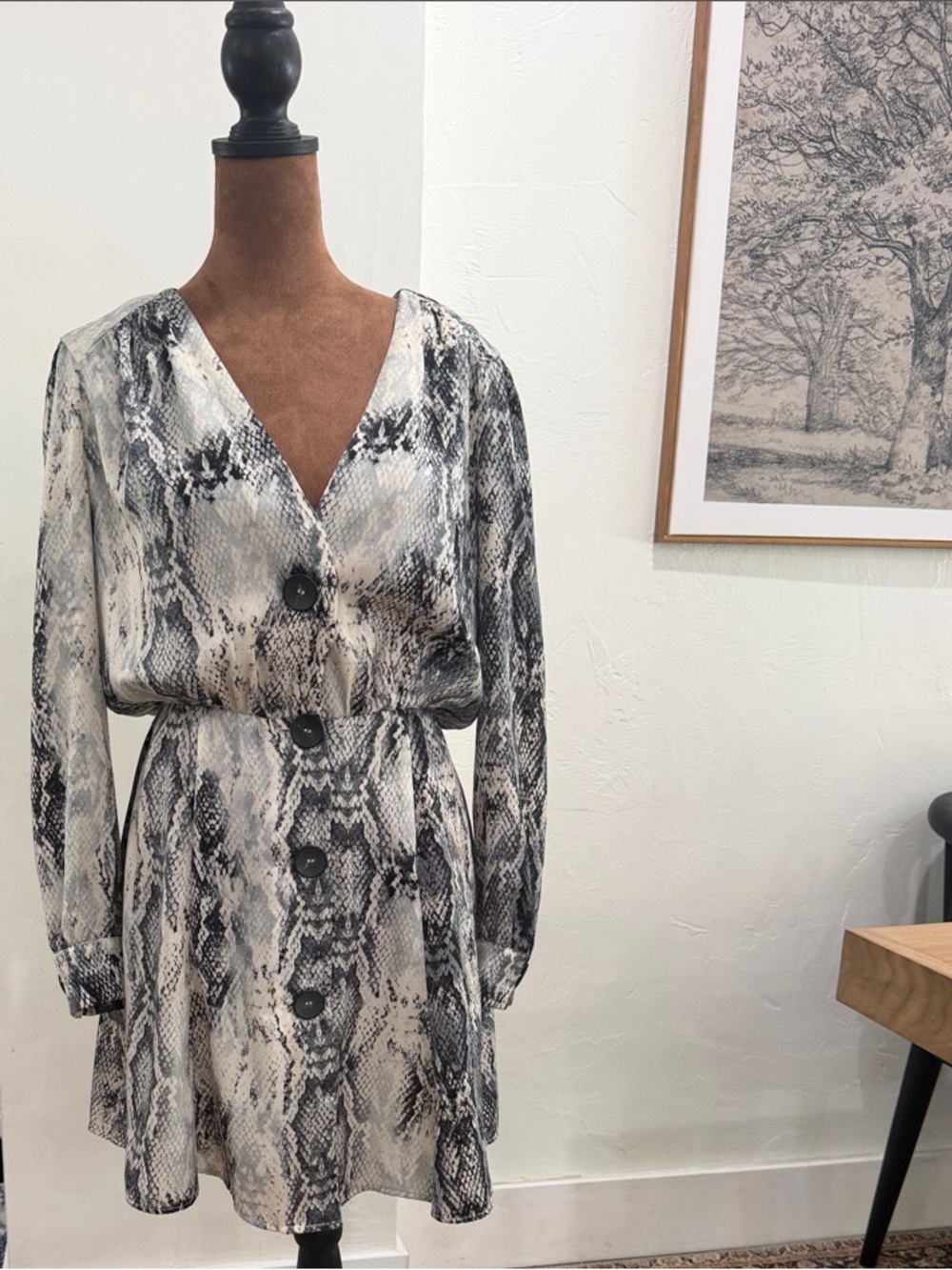 Zara Black & White Snake Print V-Neck Button Mini Dress